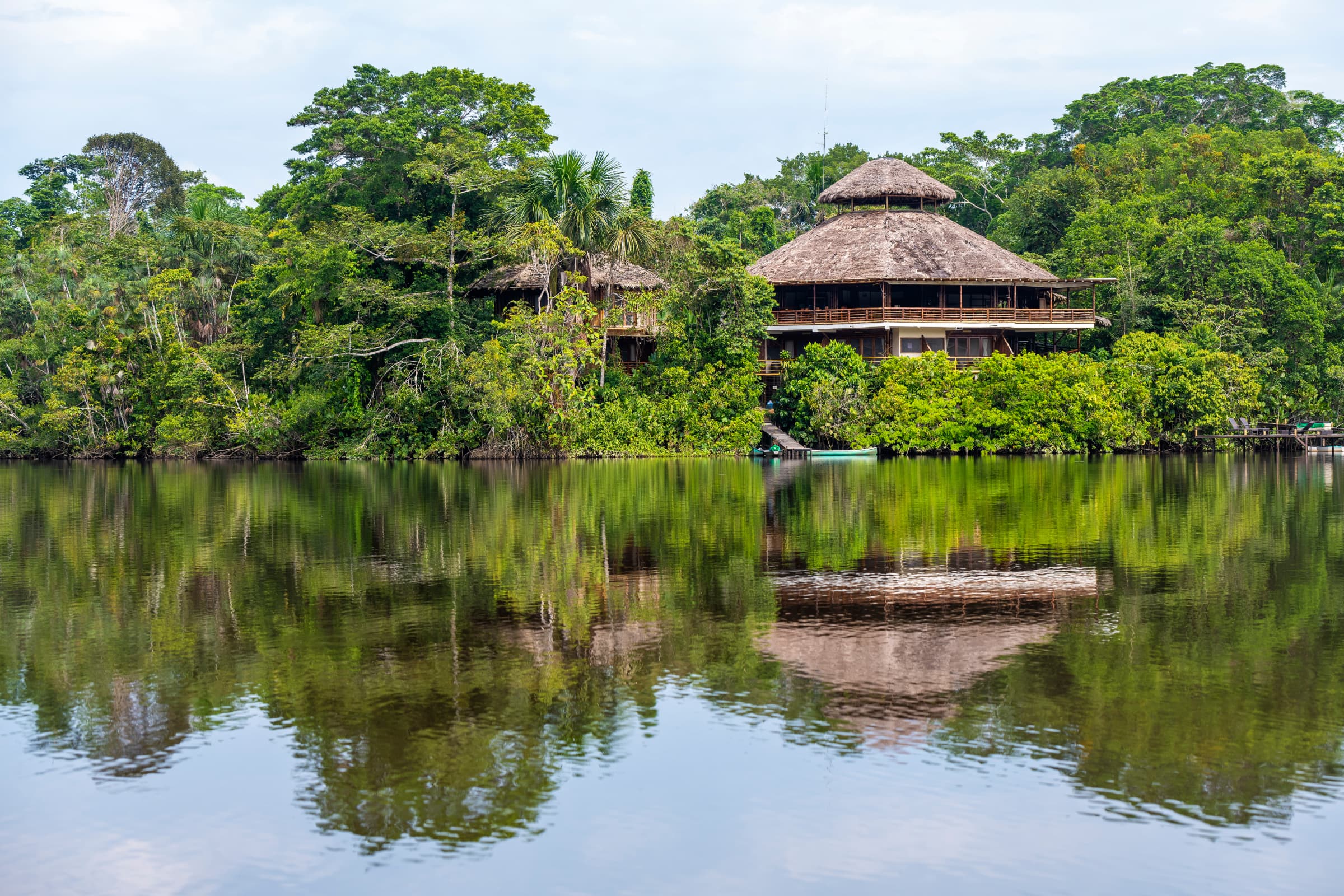 Overview of Cuyabeno Wildlife Reserve, Ecuador with blackwater lagoon scenery and Amazon atmosphere
