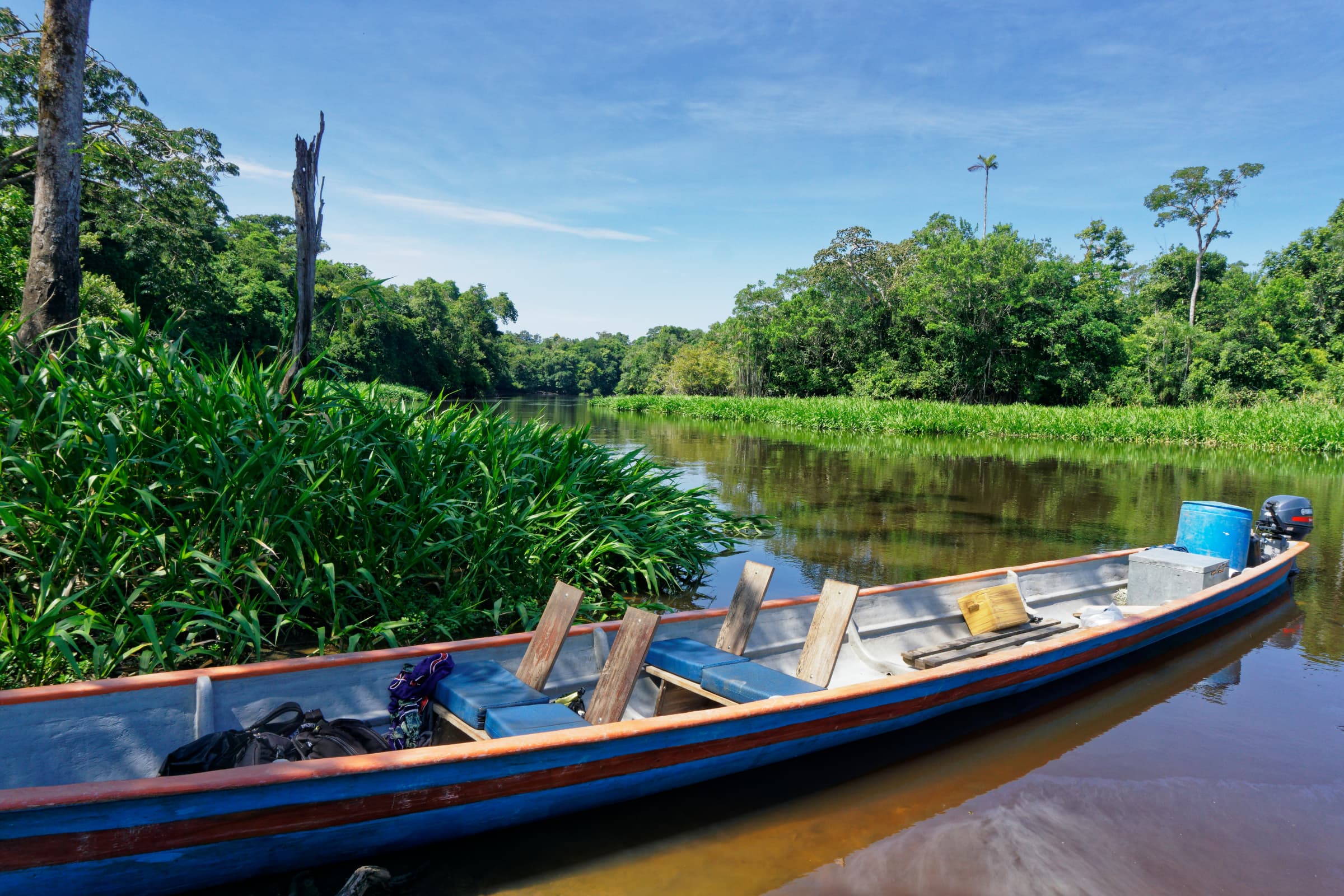 Closing visual from Cuyabeno Wildlife Reserve, Ecuador with immersive Amazon atmosphere