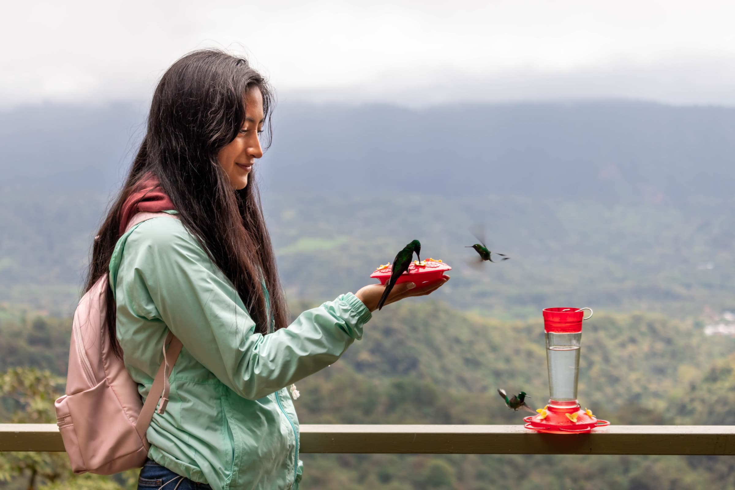 Cloud forest experience in Mindo, Ecuador