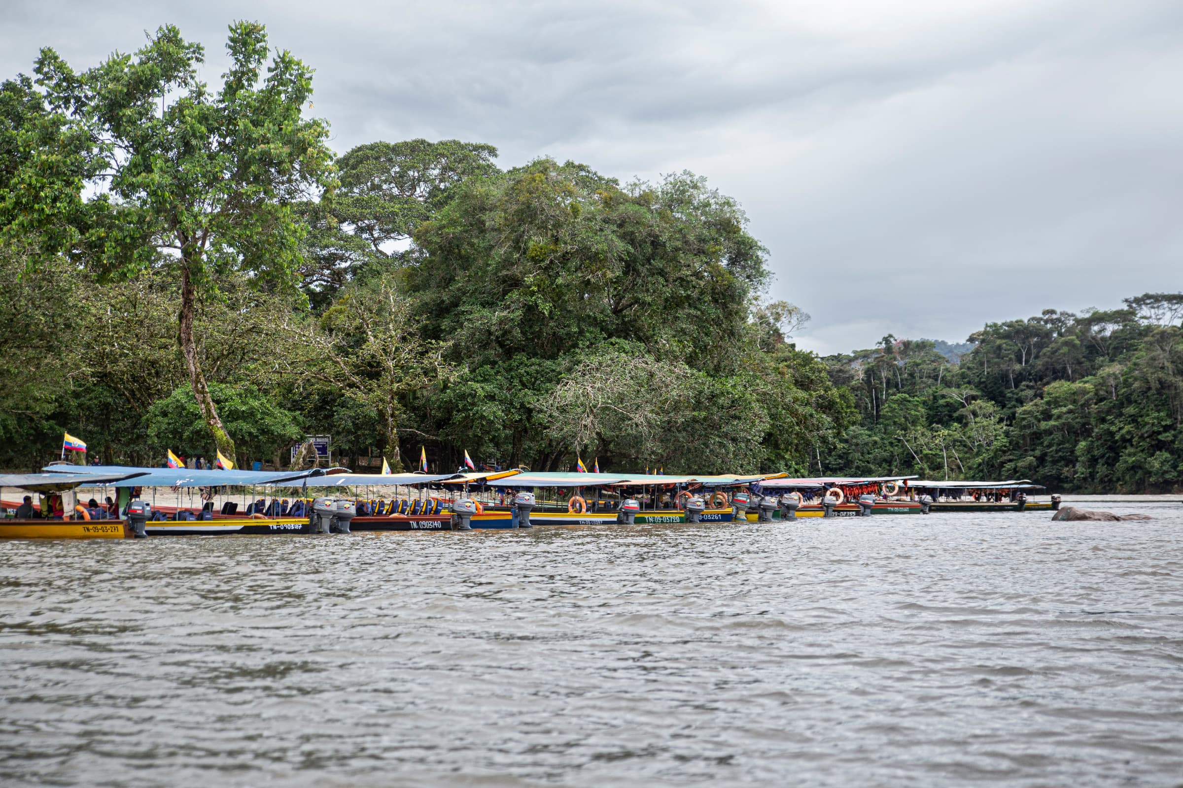 Detail from Misahuallí, Ecuador with family-friendly Amazon context