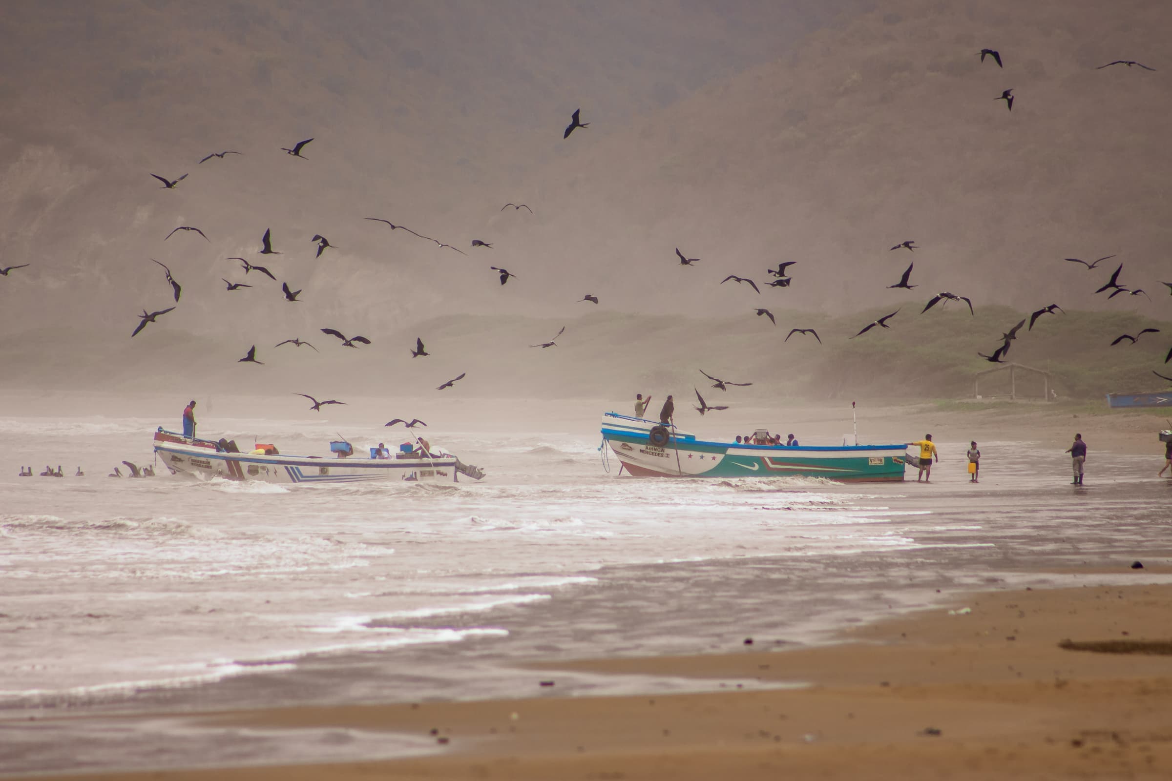Detail view of Puerto López coastal experience in Ecuador