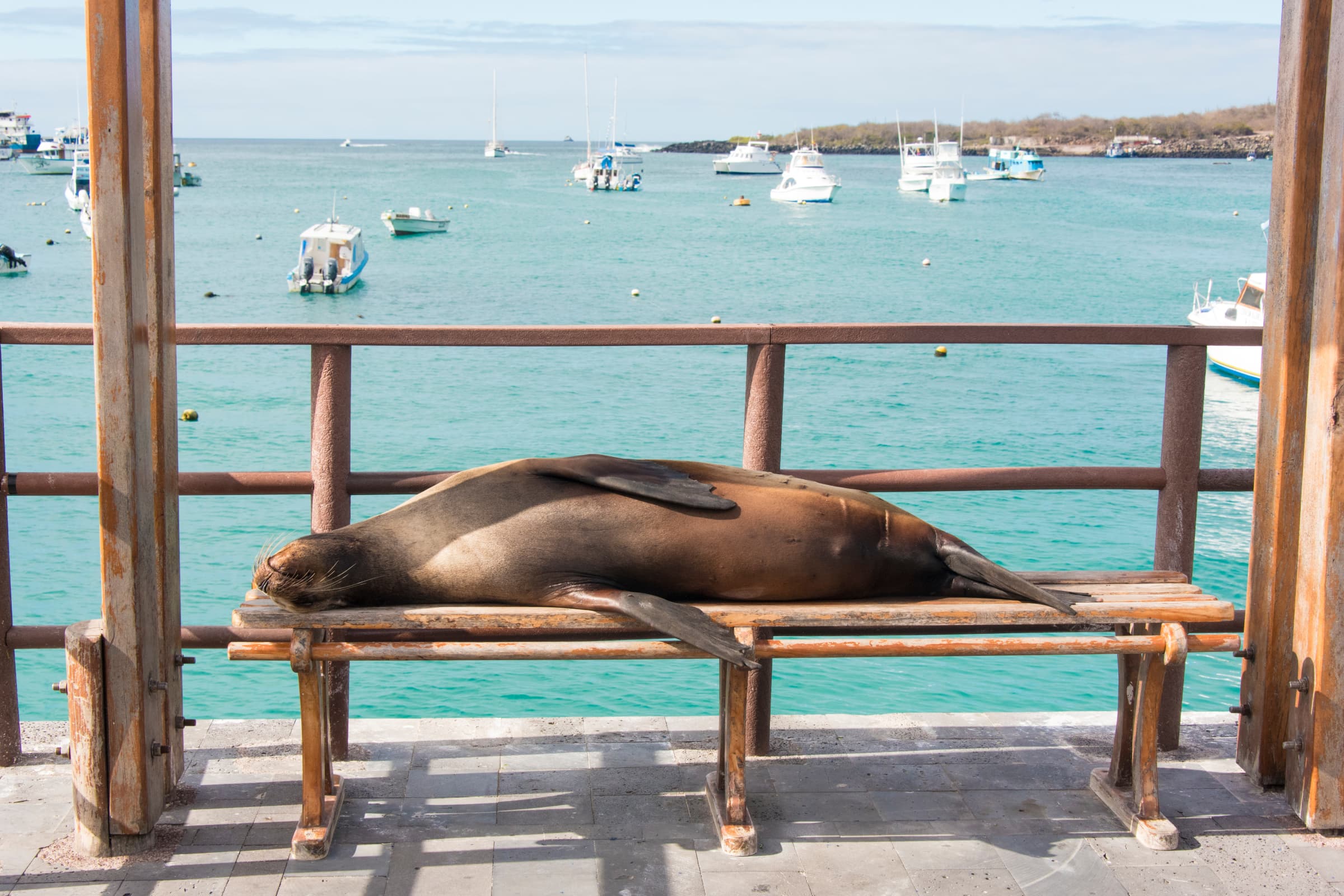 San Cristóbal Island highlight 4