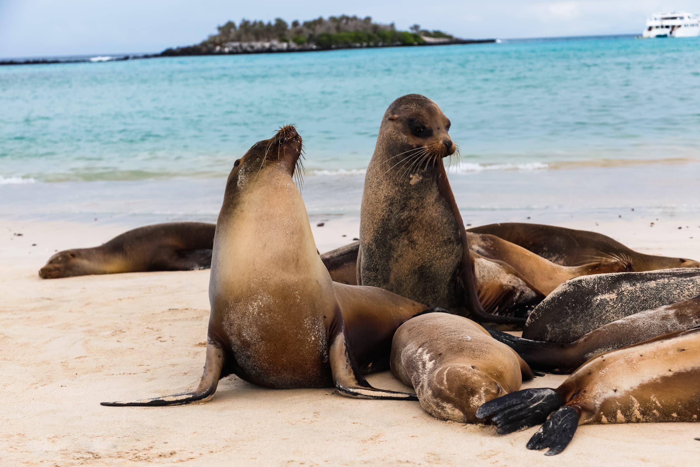 Wildlife gallery image 10