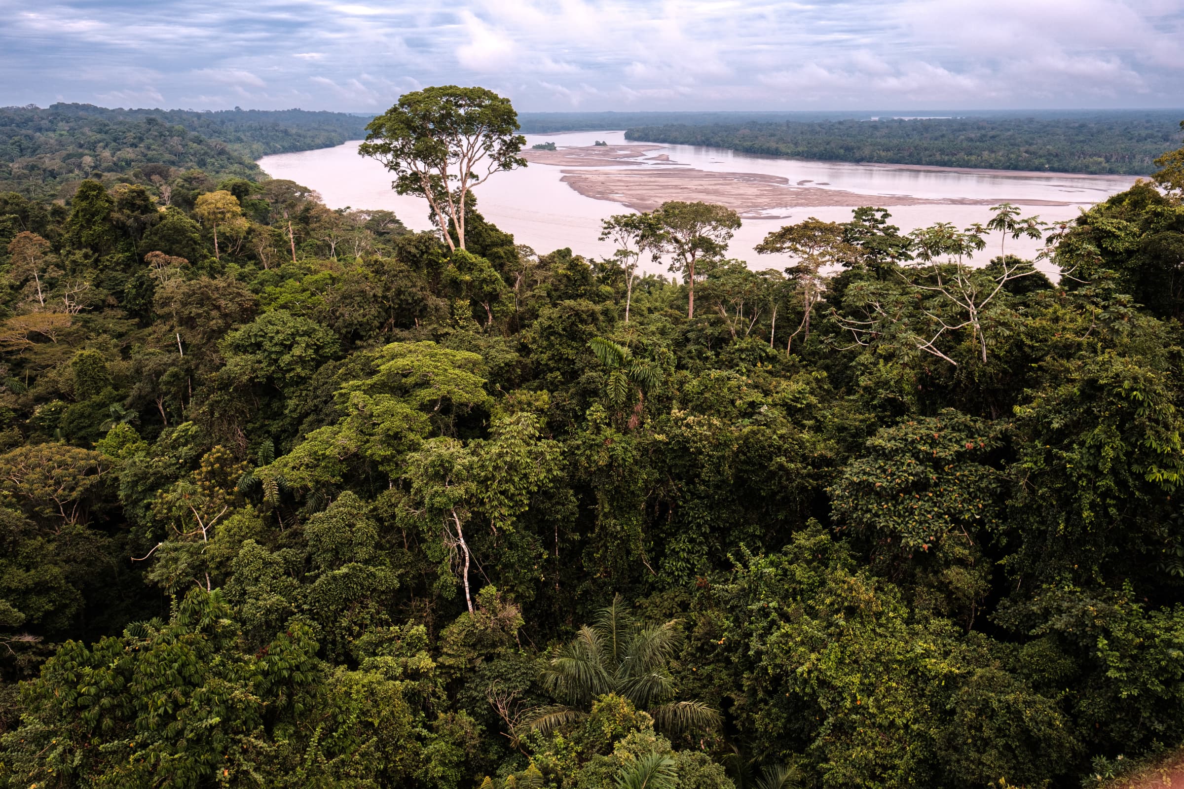 River and rainforest atmosphere in Yasuní National Park, Ecuador
