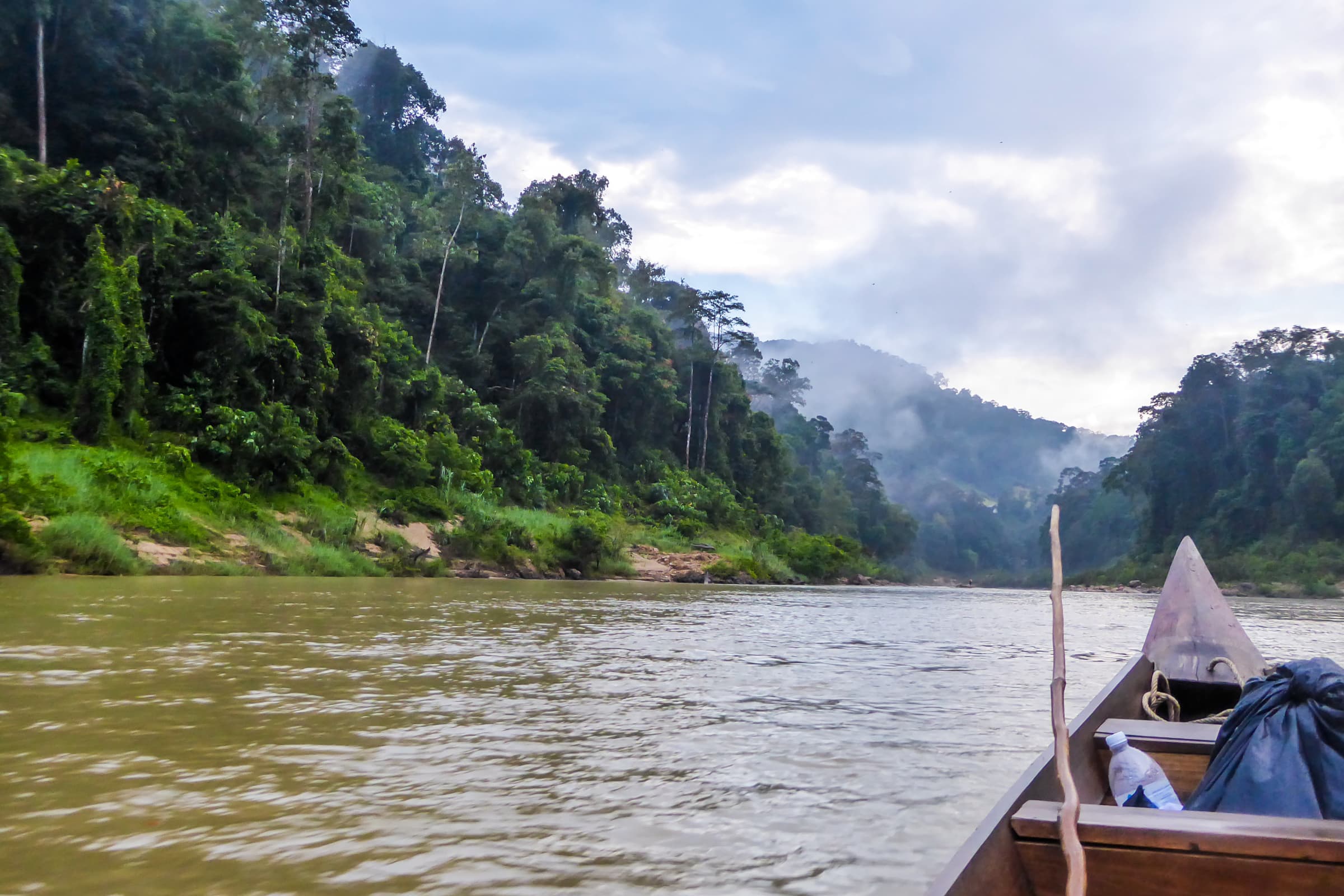 Wildlife-focused Amazon lodge context in Yasuní National Park, Ecuador